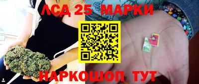 spice Славгород
