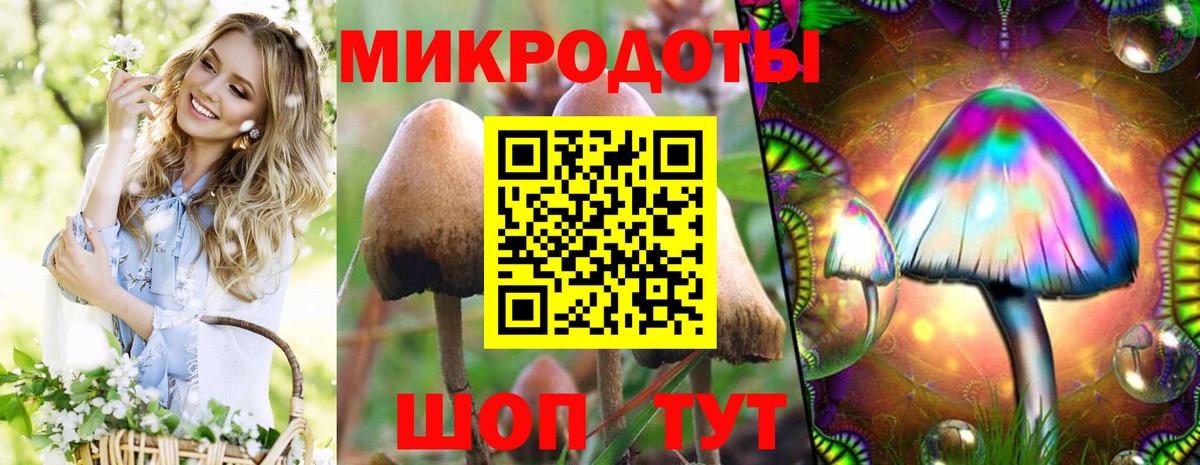 Галлюциногенные грибы Psilocybine cubensis Уварово